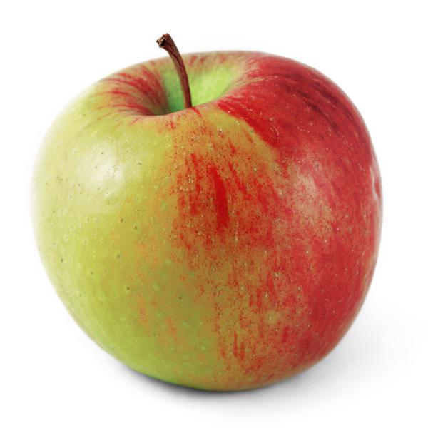 9301