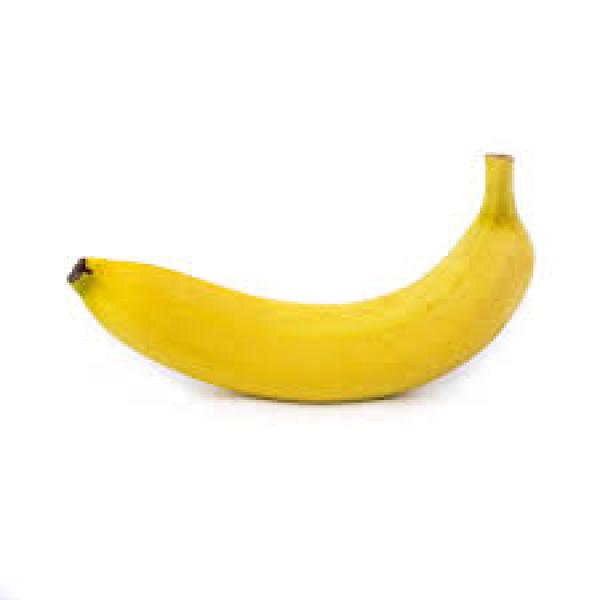 9304